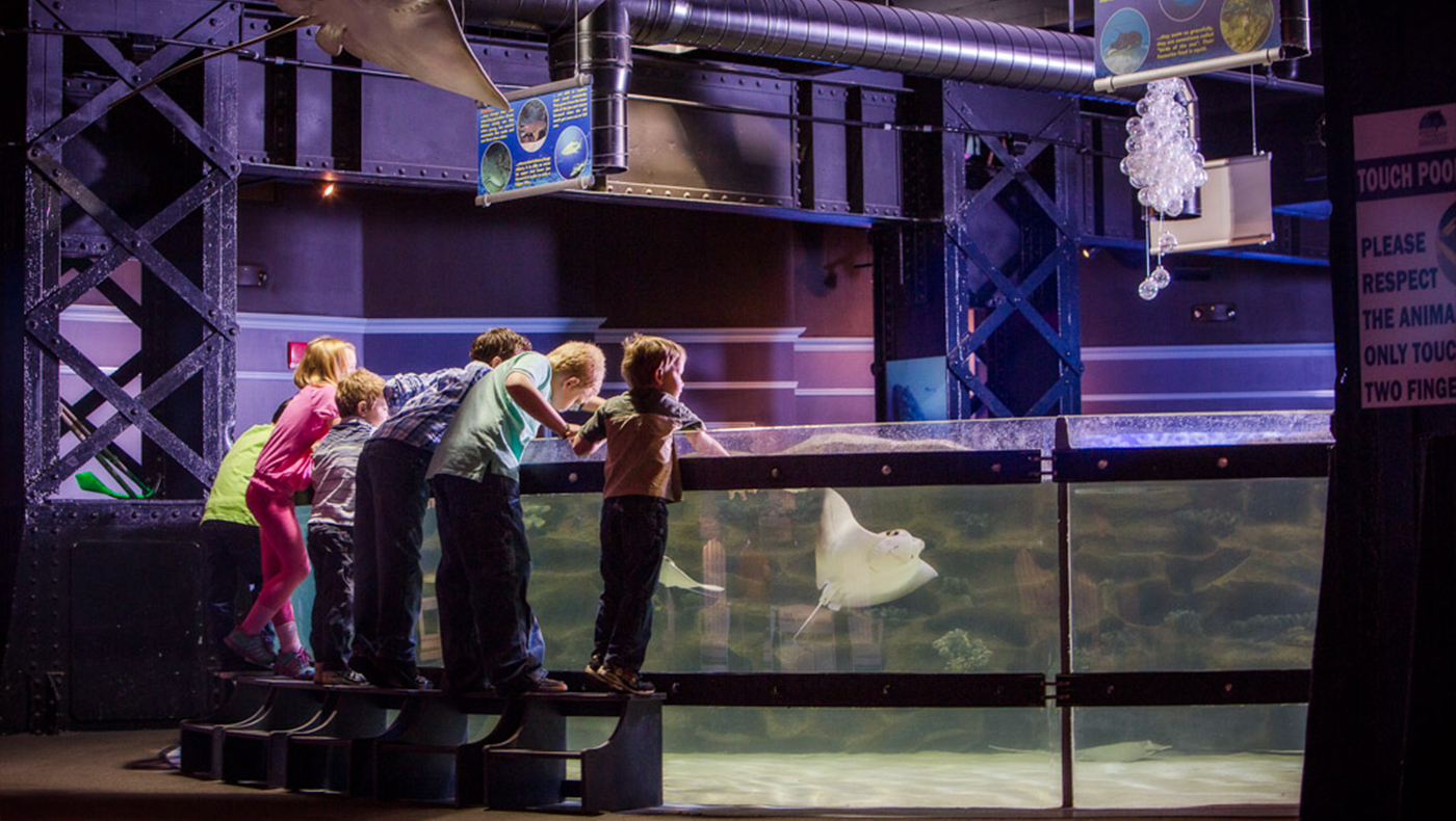 Greater Cleveland Aquarium – Bialosky Cleveland